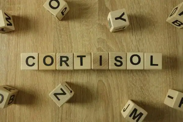 The Hidden Connection: How Stress Shapes Your Fitness and Body Composition 2 Image saying "Cortisol" and how stress Lewes impacts your wellbeing and bodies shape